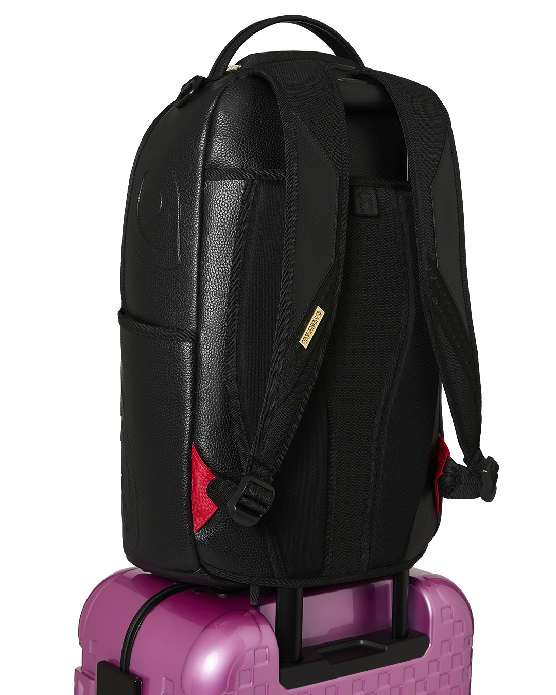 DANGEROUS CURVES CARRY-ON LUGGAGE